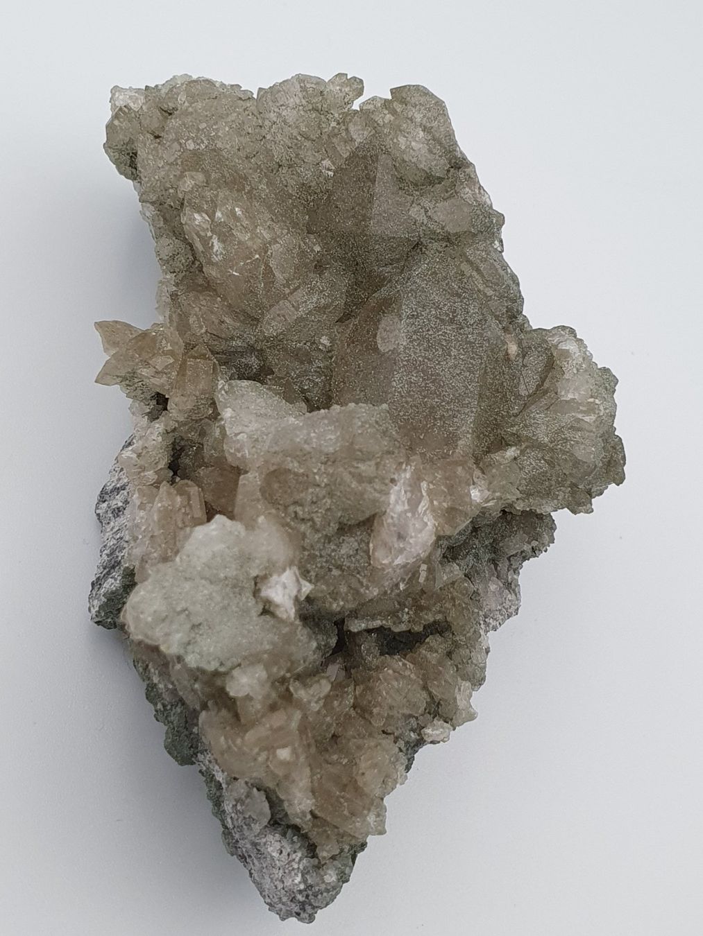 Minerali & Pietre curative: Quarz mit Chlorit überzogen und Titaniten – Nuovo (secondo la descrizione) da Holderbank SO venduto da swiss-minerals 5