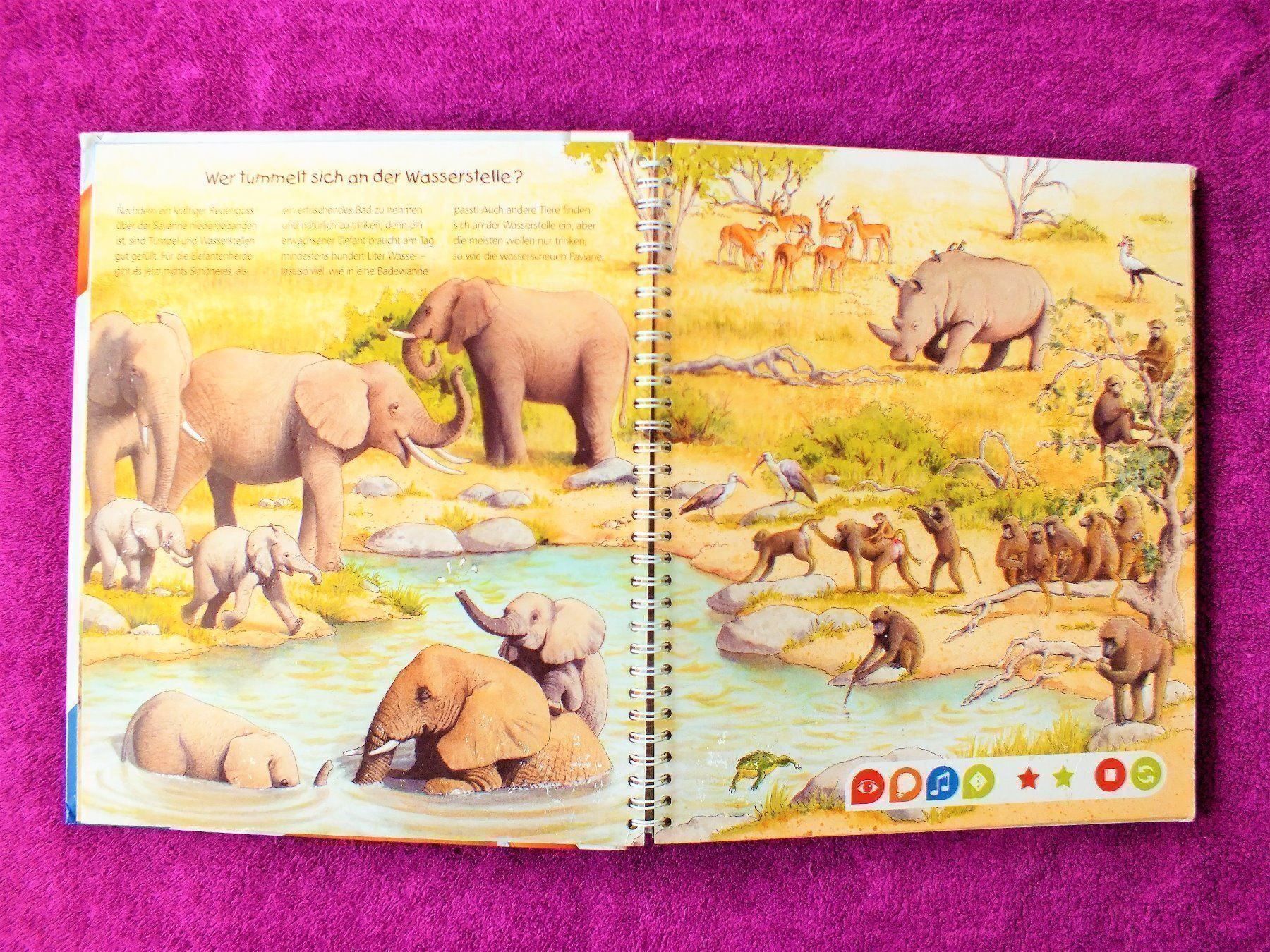 Libri: tiptoi Buch - Endecke die Tiere Afrikas – Usato da Müllheim Dorf venduto da Seeeule01 2