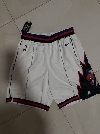 Nike Raptors Hardwood classics shorts (size L)