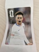 Antonee Robinson USA Panini Coca-Cola Sammelsticker WM 2026