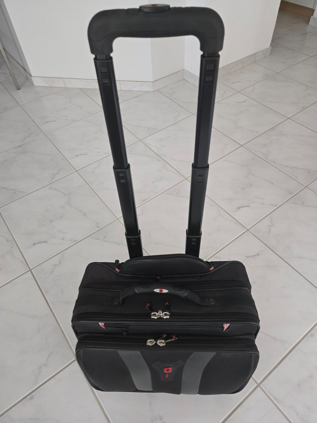 Valigie & Borse: Business Trolley – Usato da Watt venduto da francetta62 6