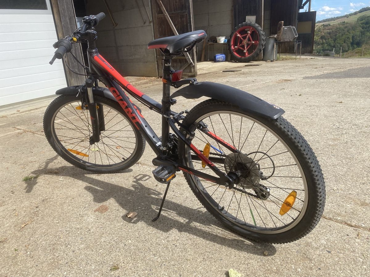 Giant Biciclette: Kindervelo Giant 24 Zoll – Usato da Thalheim AG venduto da wernliegg