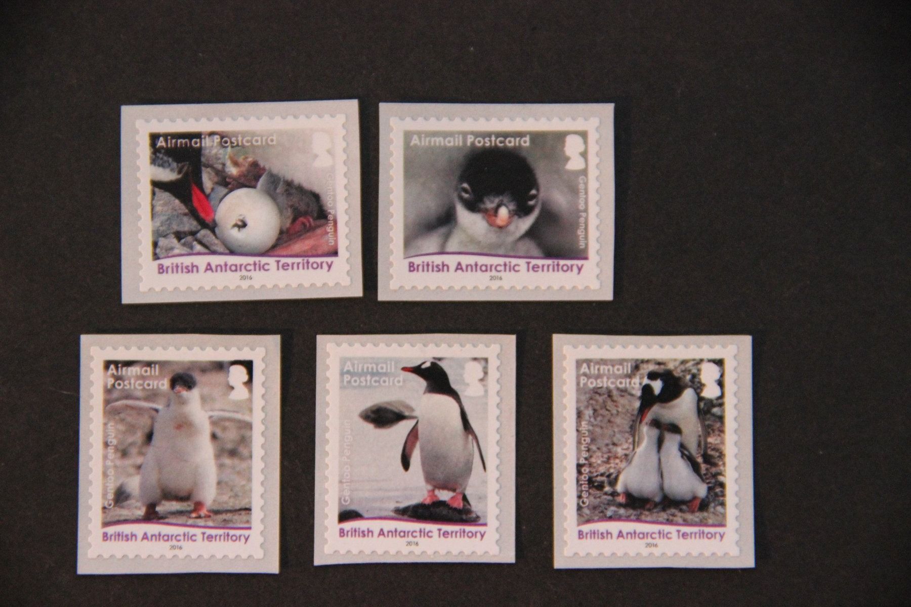 Tutti i francobolli: British Antarctic Territory 2016 - Gentoo Penguins** – Nuovo (secondo la descrizione) da Jona venduto da Southafrica07