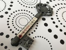 ANTIKER THERMOMETER AUS METALL, FUNKTIONIERT EINWANDFREI !!!