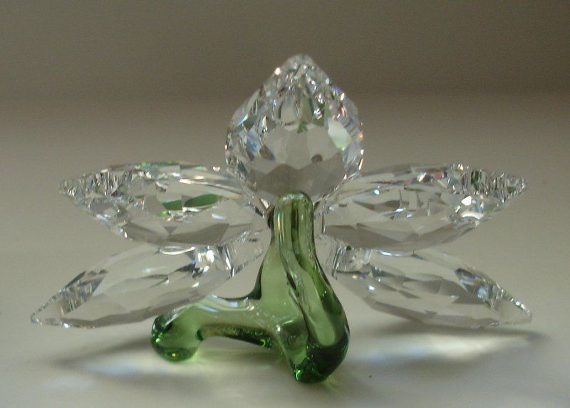 Swarovski Statuette: SWAROVSKI ORCHIDEE – Nuovo e nell'imballaggio originale da Oberentfelden venduto da Gipsy27 2