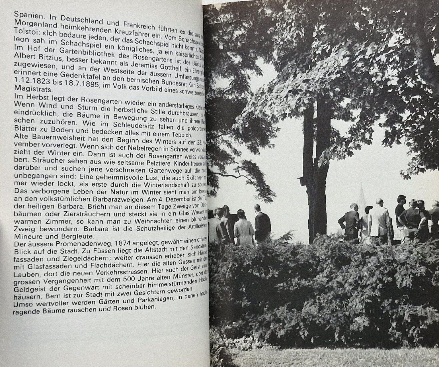 Libri: ROSENGARTEN: der schönste Aussichtspunkt auf Bern – Usato da Bern venduto da Mattthias 3