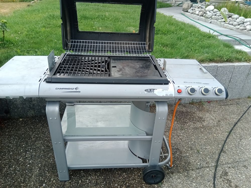 Tragbarer Gasgrill Aus Edelstahl – Mit Propangas-Betrieb, Ideal Für Camping & Garten | Inkl. Transporttasche
