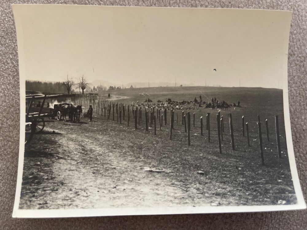 Schweizer Armee Fotos 19141918 oder früher Romandie Kaufen auf Ricardo