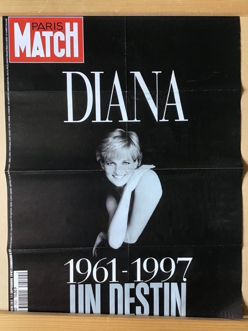 Foto & Immagini: Lady Diana – Usato da Némiaz (Chamoson) venduto da Patoshi 1