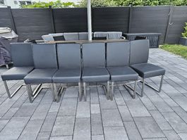 Stühle 6 stk Neu Ab Ausstellung