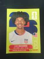 Panini FIFA World Cup Sticker USA 3