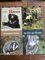 4 Tierbücher Panda Bären Dachs Koala kinderbuchverlag