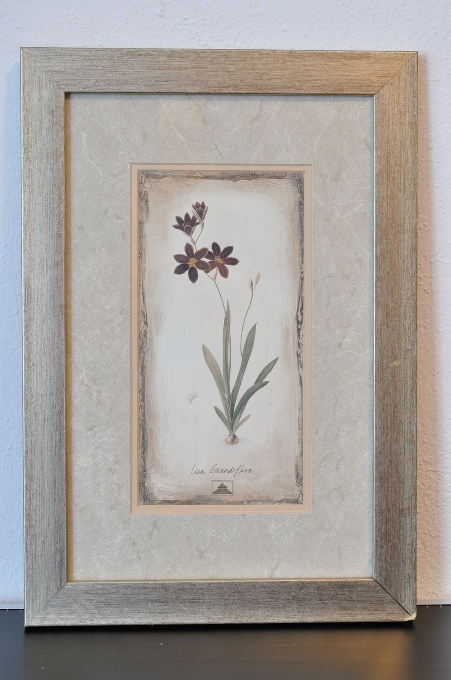 Gemälde: Quadri botanici con fiori, set di 3, originali – Gebraucht aus Vezia von lel_xfz5 4