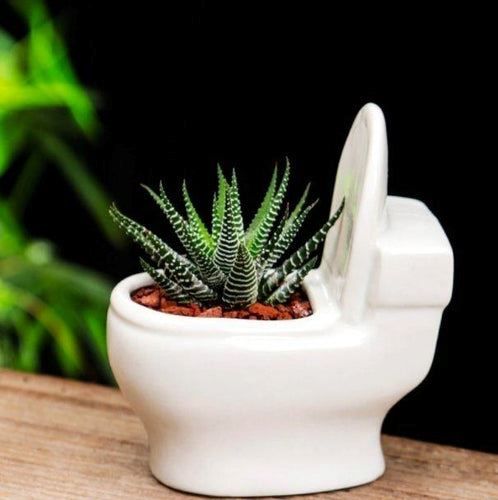 Vasi per fiori: Blumentopf - Toilette – Nuovo e nell'imballaggio originale da Buchs SG venduto da Skullep 2
