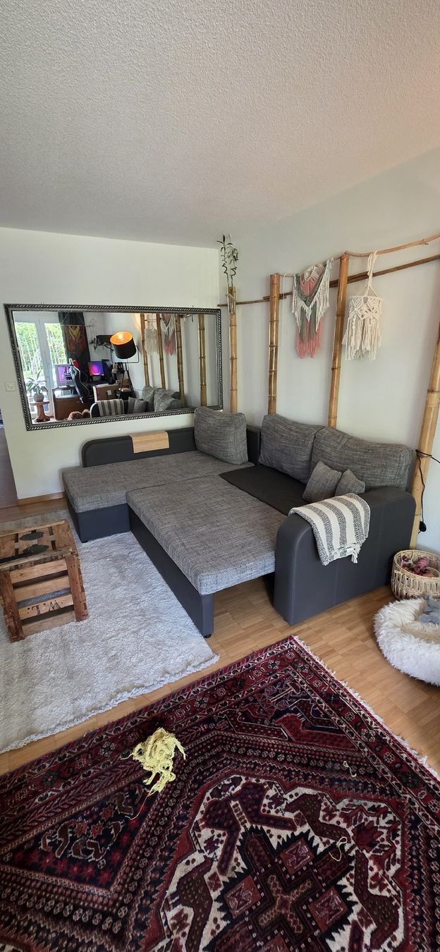 Divani: Modern Grey Sectional Sofa - Great for Cozy Evenings! – Nuovo (secondo la descrizione) da Binz venduto da Sp3cPT 3