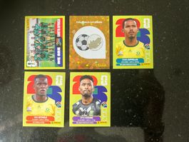 Panini World Cup 2026 (swiss edition) RSA Südafrika