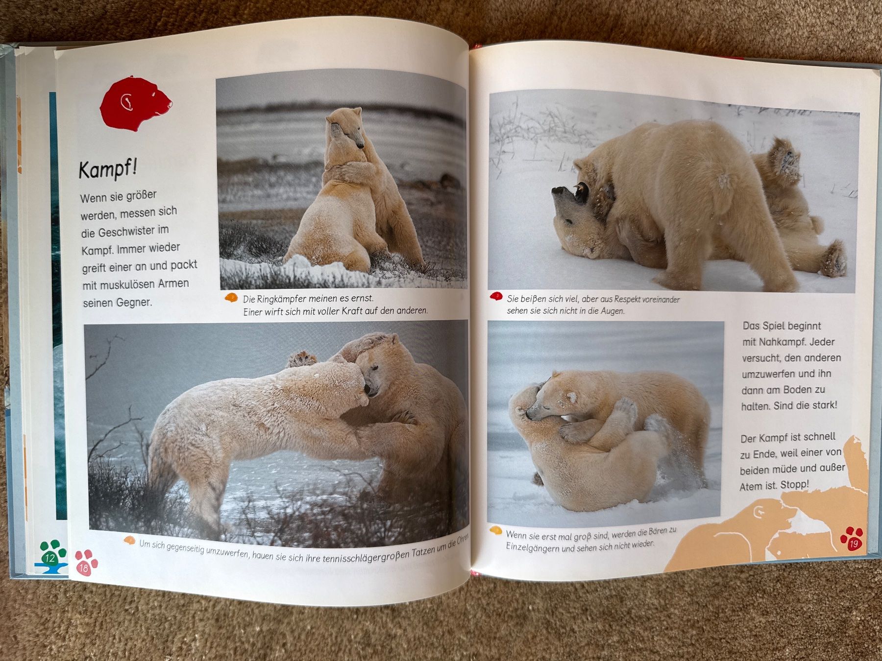 Libri: Der Eisbär - Meine grosse Tierbibliothek - esslinger – Usato da Aarau venduto da Kilauea 4