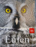 Eulen - Vögel der Weisheit - Jäger der Nacht / Vogel Buch