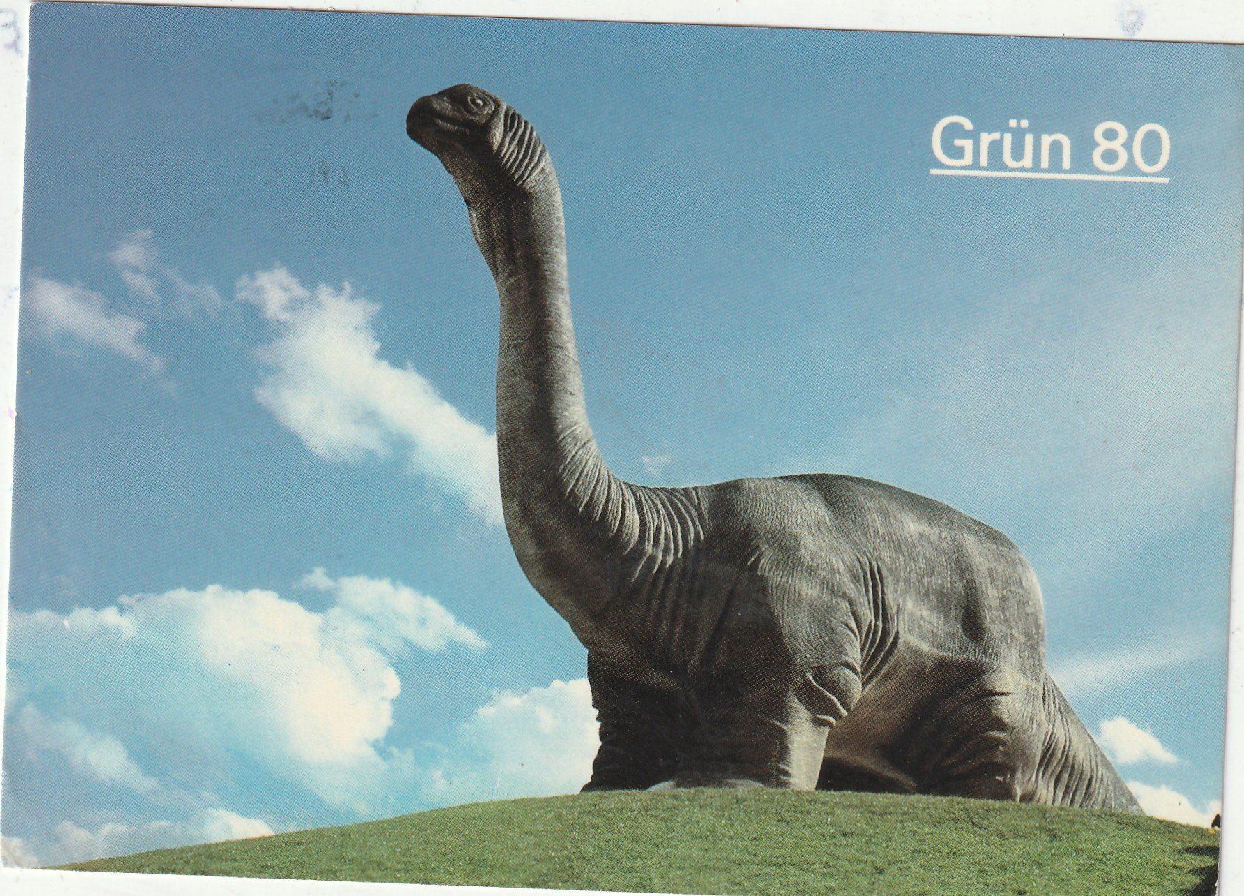 Cartes postales: Grün 80 – D'occasion à Lumbrein par made02