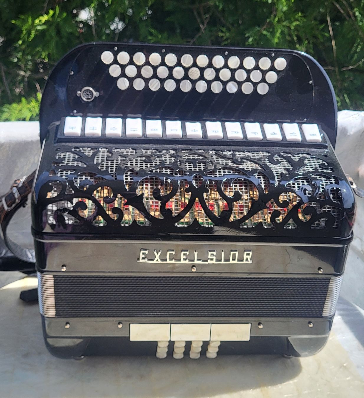 Strumenti musicali: concertina excelsior diatonique – Usato da Penthalaz venduto da EvandroLuz