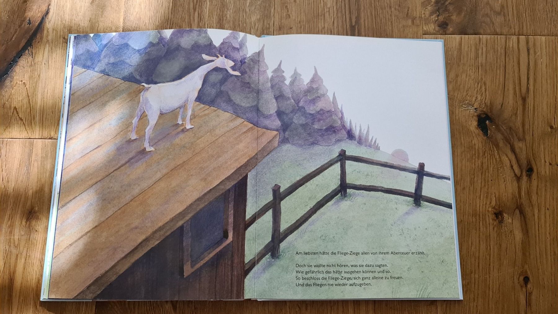 Libri: Buch Die fliege ziege – Usato da Wittenbach venduto da Tigerlili 6