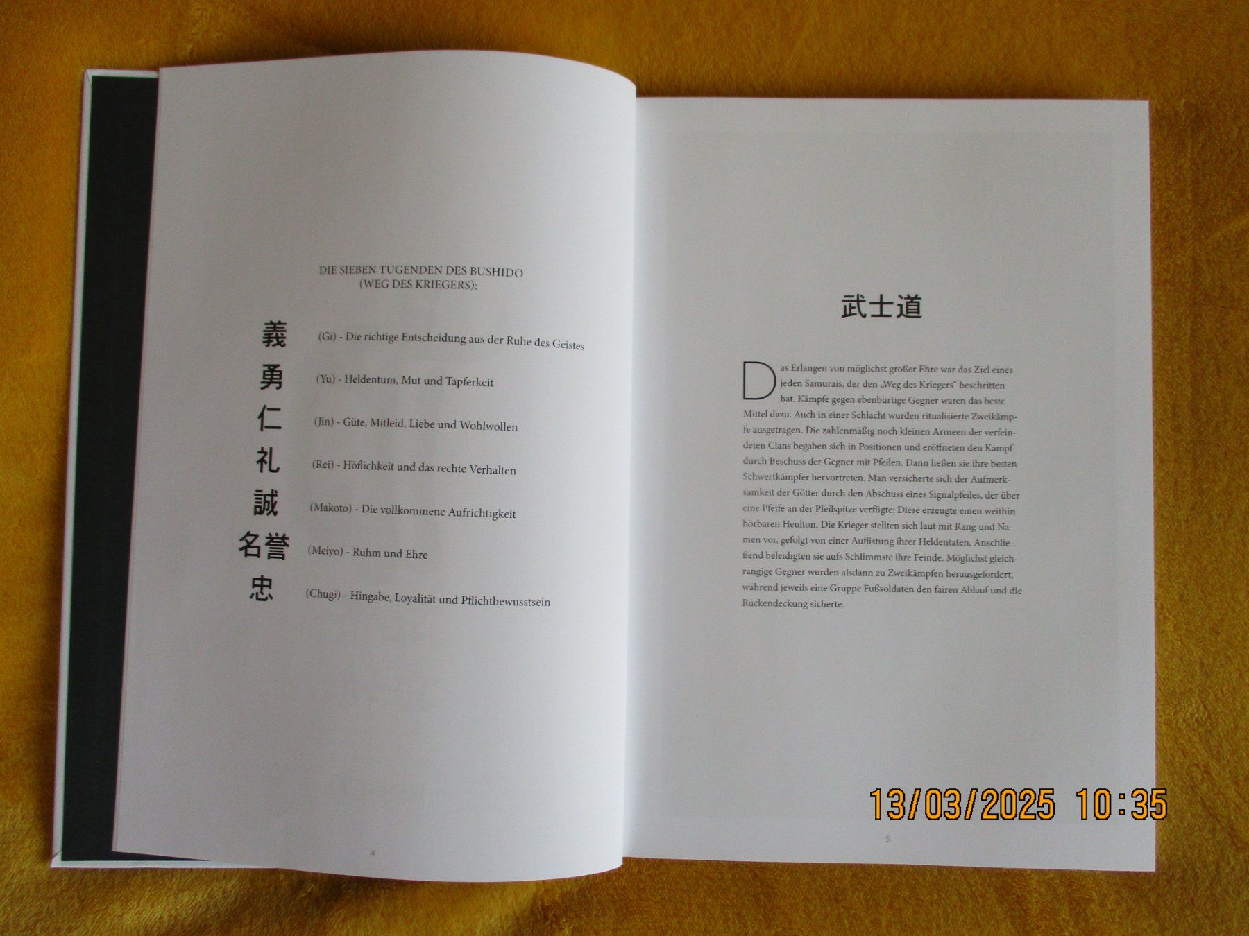 Libri: BUSHIDO LEBENS-BUCH 240 SEITEN! – Nuovo (secondo la descrizione) da Safenwil venduto da universum78 1