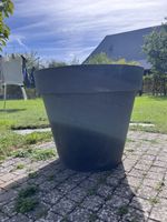 Grosser Pflanzentopf Kunststoff anthrazit gebraucht