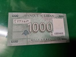 Banknote Liban 2016 NEU