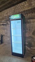 Carlsberger Gastro Kühlschrank 