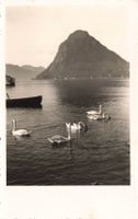 Lugano S. Salvatore