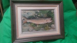 Gemälde C. Breuning 77, Fisch, Original, gerahmt.🖼️🎣 (52)
