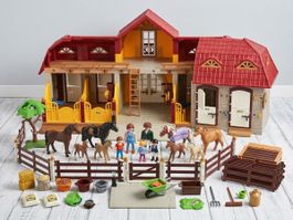 Playmobil Reiterhof Set mit Zubehör neuwertiger Zustand