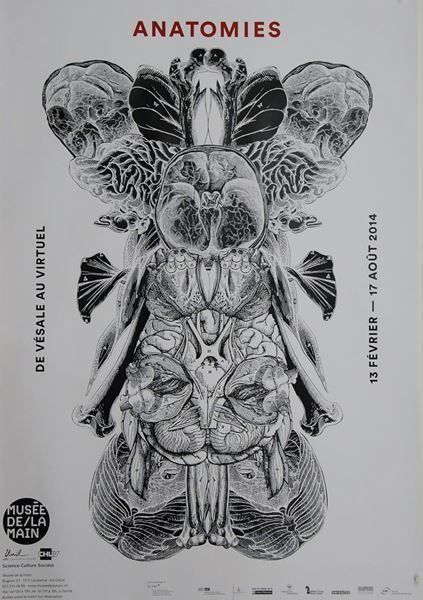 Foto & Immagini: Anatomies – Nuovo (secondo la descrizione) da Bern venduto da Vintage-Art-Poster
