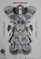 Anatomies