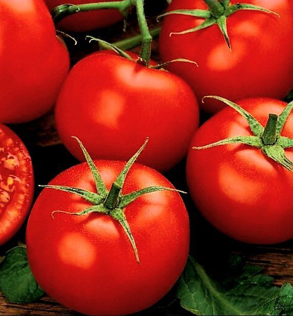 Piante & sementi: Ab 5.- fr 5 Samen Tomate "MONEYMAKER" – Nuovo e nell'imballaggio originale da Rovio venduto da POSITIFFARTandPLANTS 2