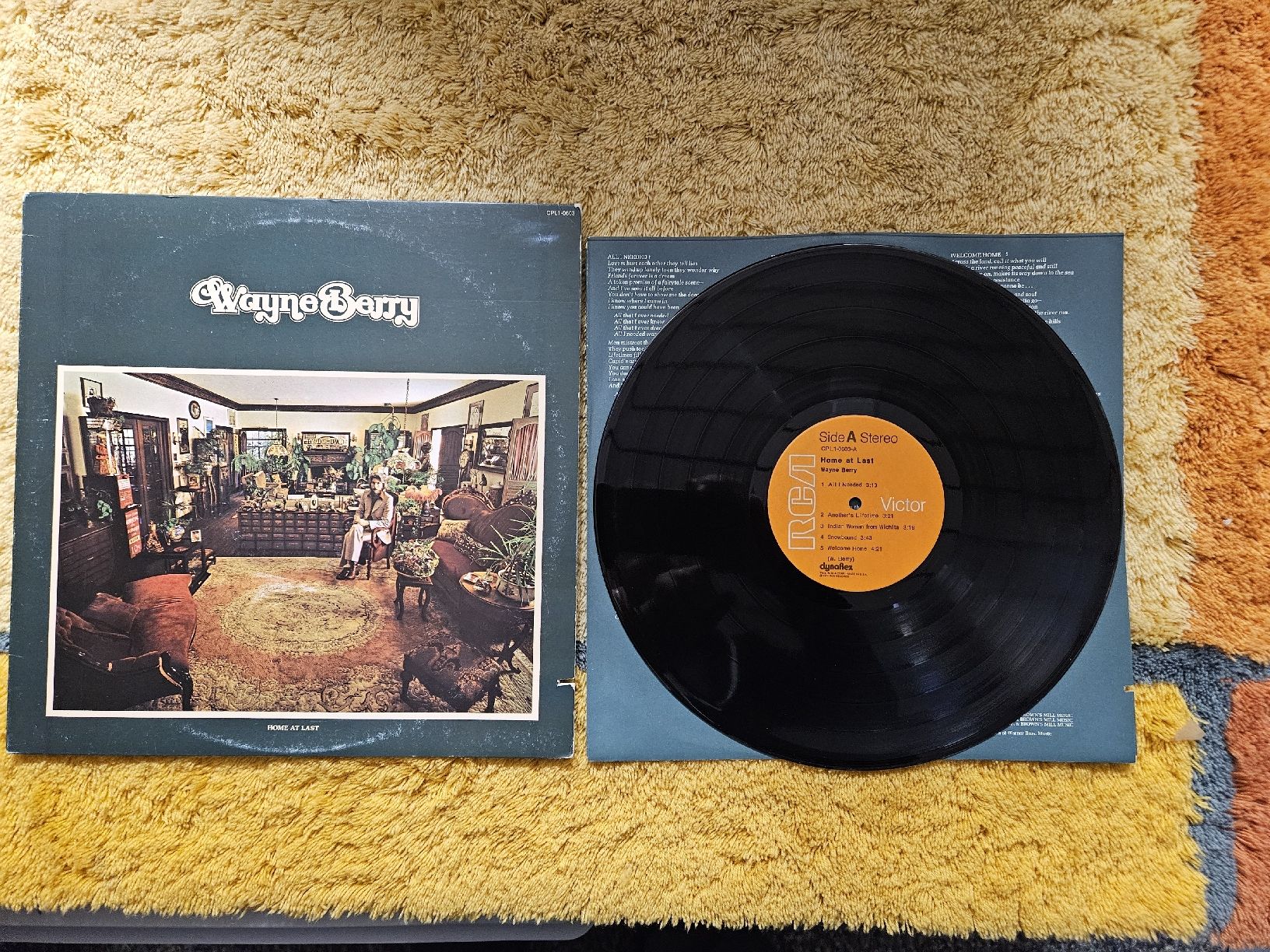 Dischi in vinile: Wayne Berry Schallplatte Lp - Home at Last – Nuovo (secondo la descrizione) da Lyss venduto da Alexine