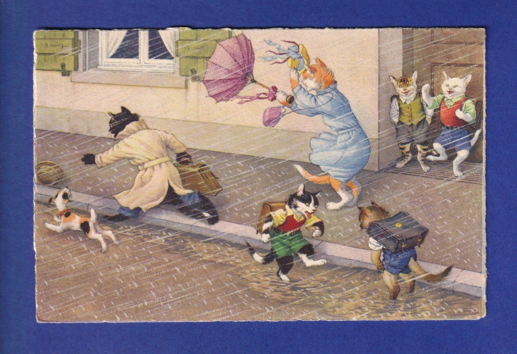 Cartes postales: CHAT - Chat humanisés – D'occasion à Pully par nicecards-shop