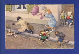 CHAT - Chat humanisés