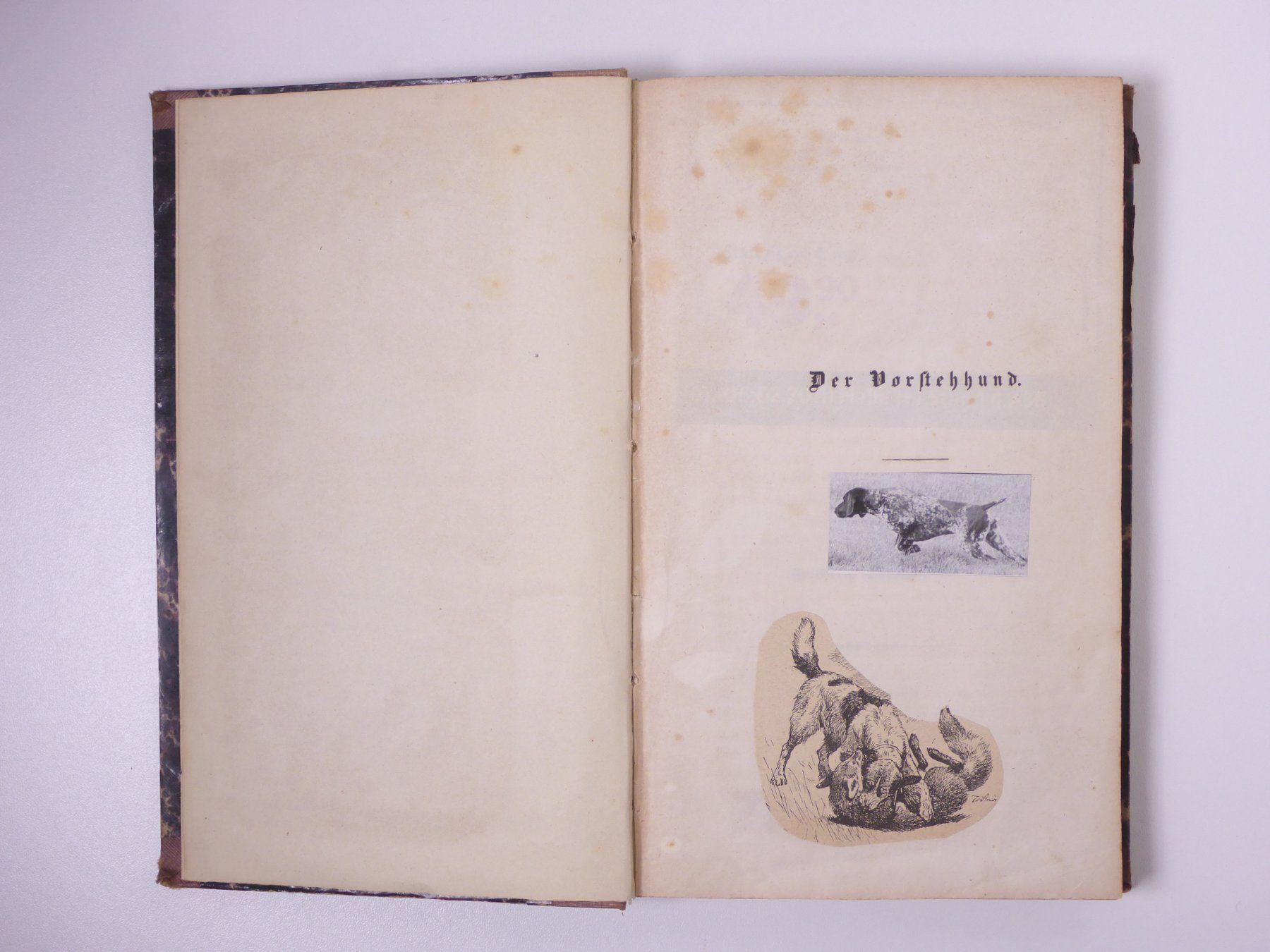 Libri: Friedrich Oswald: Der Vorstehhund. 1855. – Usato da Erschwil venduto da taglang 5