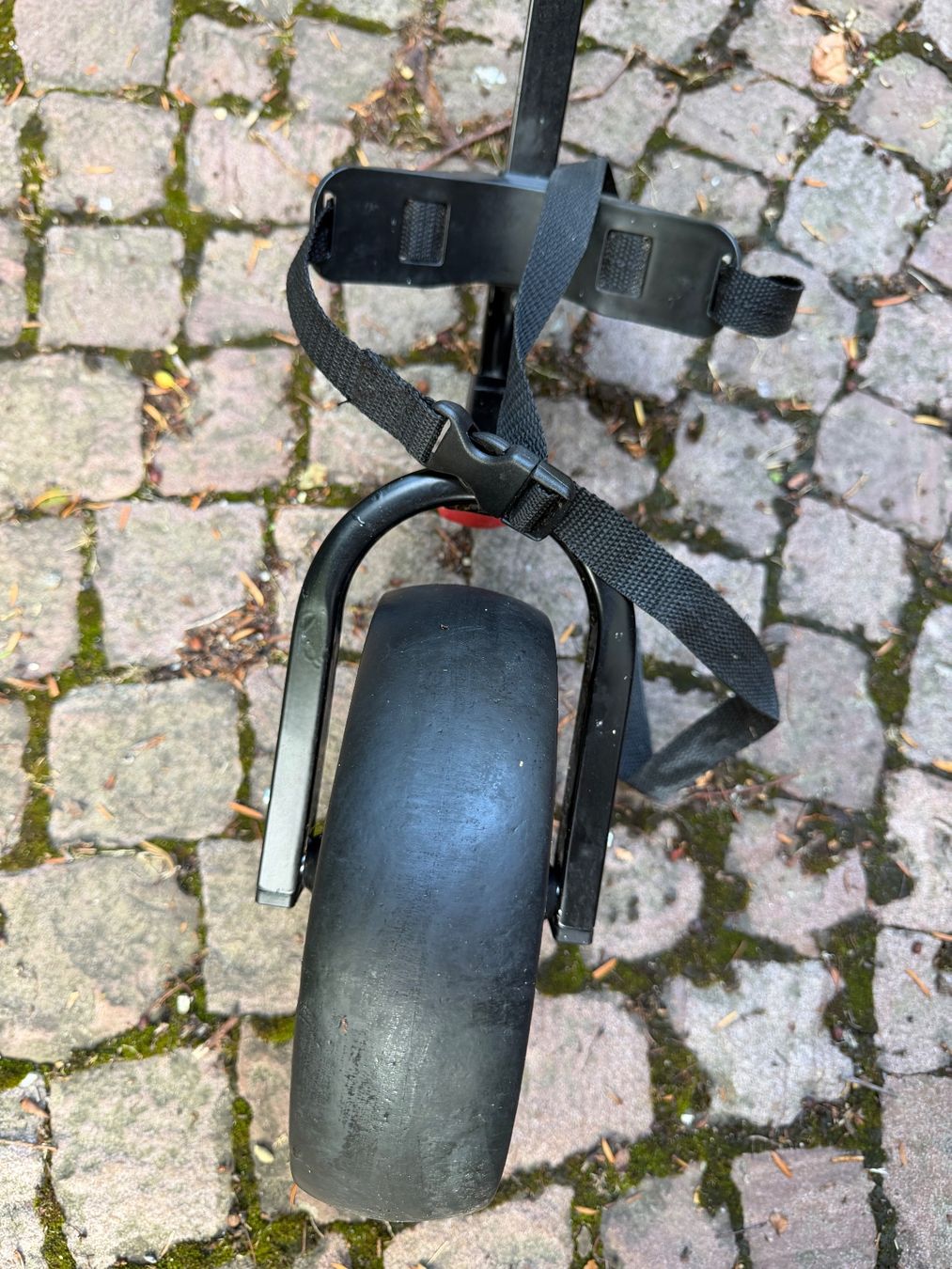 Trolleys: Golf Trolley – Gebraucht aus Muri b. Bern von cia_9n7g 5