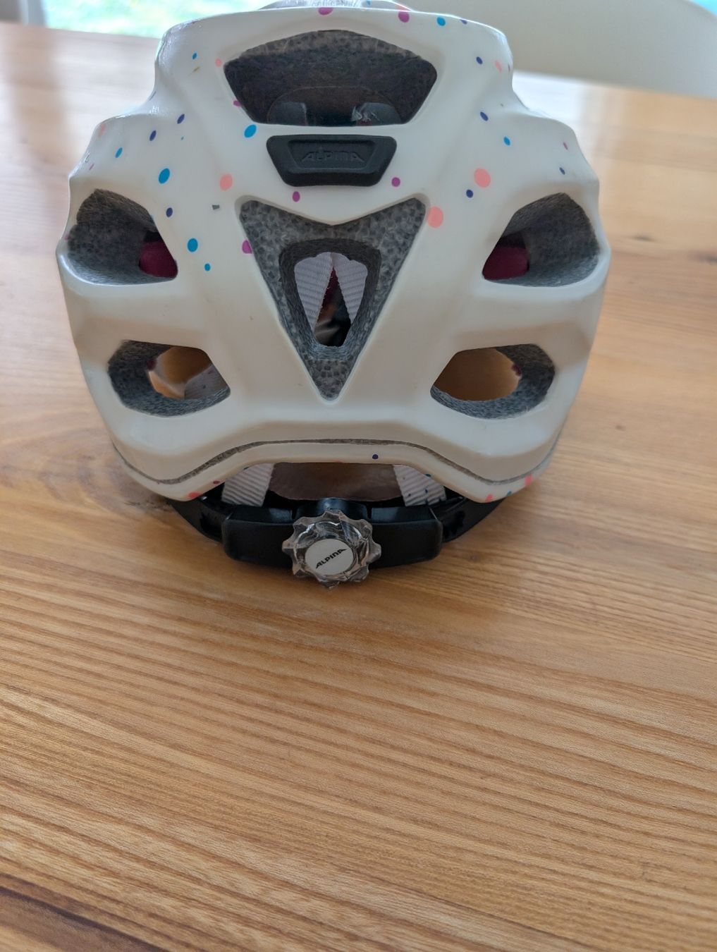 Alpina Helme: Fahrradhelm Alpina 51-56cm – Gebraucht aus Nods von BieneS 2