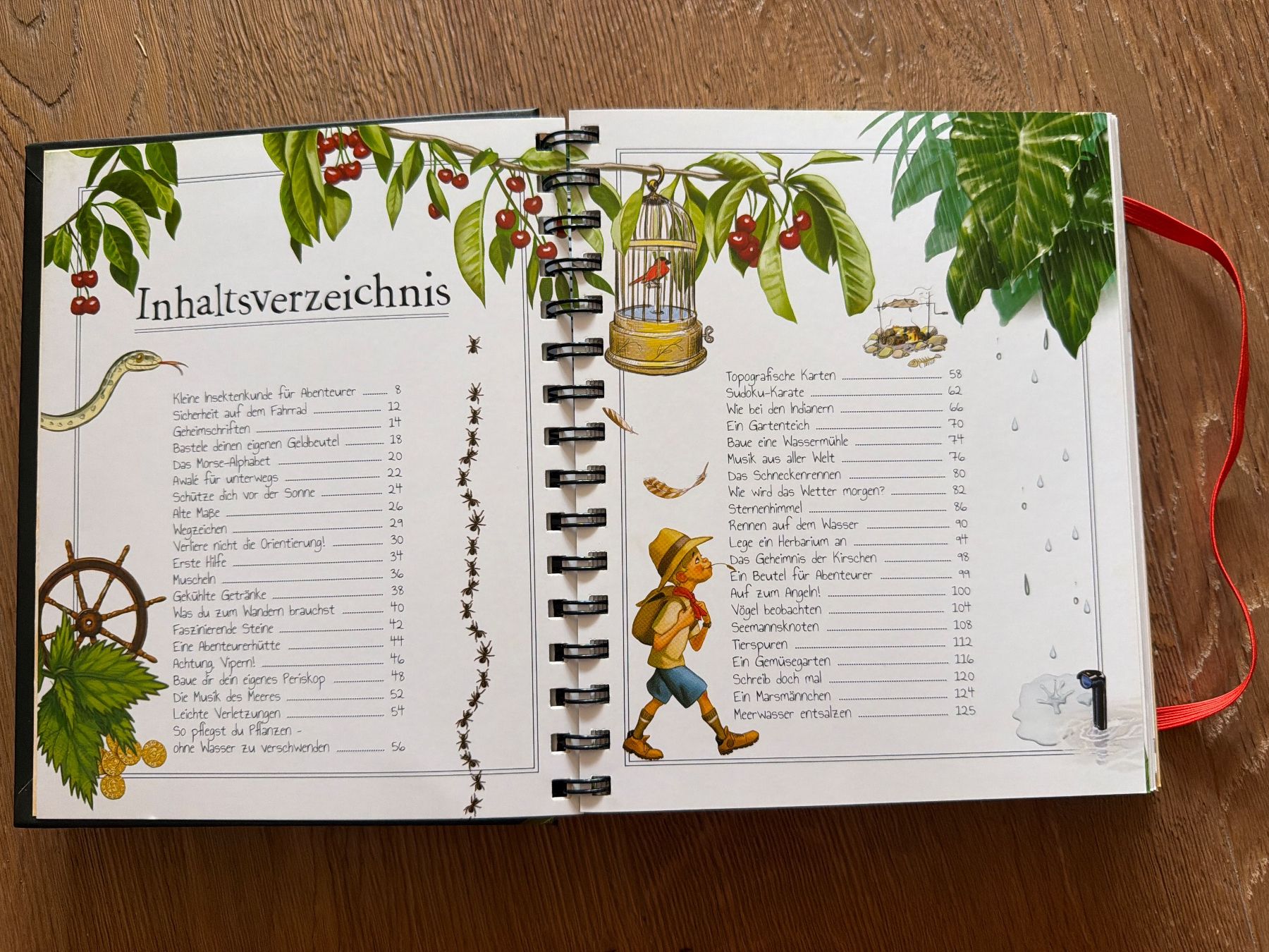 Livres: The Boy‘s Book – D'occasion à Schmitten FR par Puschi2012 1
