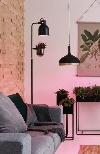 Paulmann Lustres & lampes de plafonds: Paul Embla Deckenleuchte schwarz/kupfer – D'occasion à Winterthur par ellydia 1