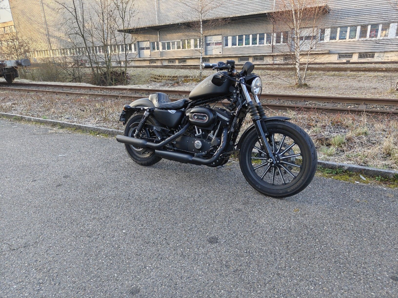Harley-Davidson Chopper: Harley-Davidson Iron 883 XL N (Ab MFK) – Nuovo (secondo la descrizione) da Rüti ZH venduto da Jesse 1
