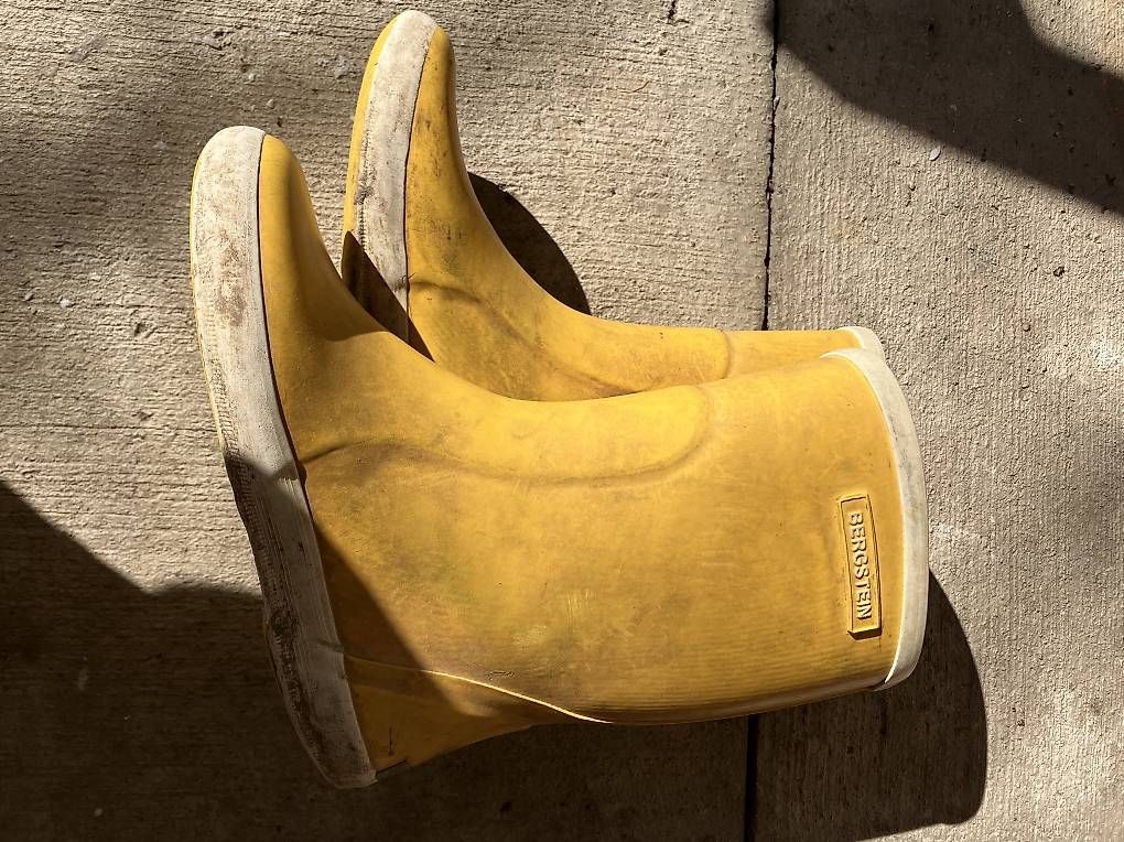 Chaussures garçon: Bergstein Gummistiefel Gr. 29 – D'occasion à Zollikon par CorViv 1