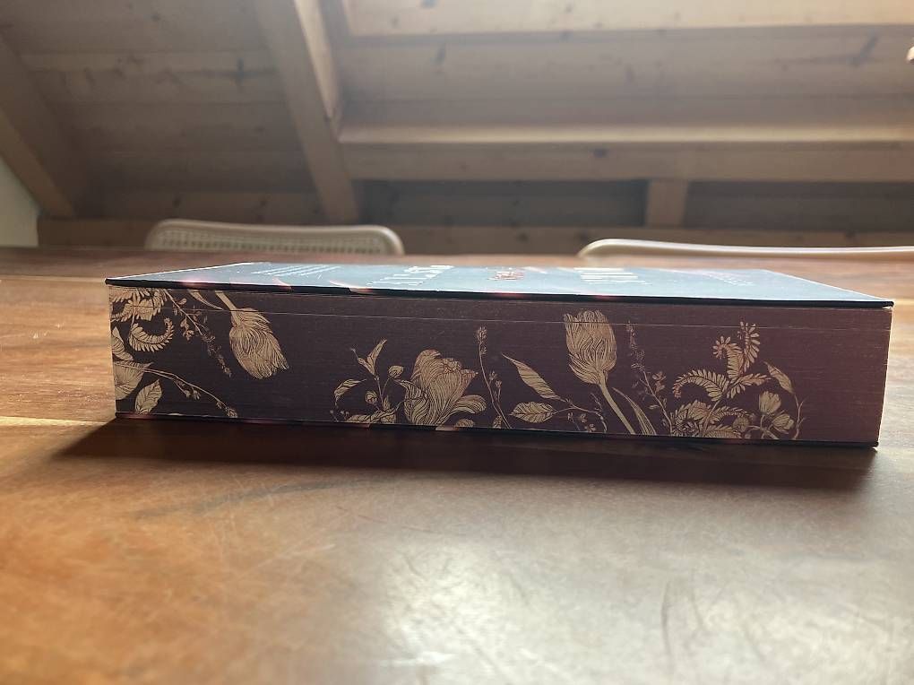 Libri: Dark Gleam Castle von D.C ODESZA – Usato da Winterthur venduto da horvath09 3