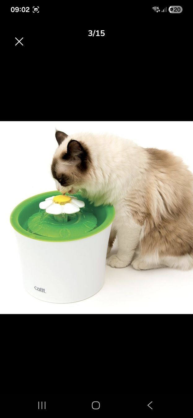 Teiche & Zierbrunnen: Katzenbrunnen – Neu und originalverpackt aus Erlen von and_jc2r