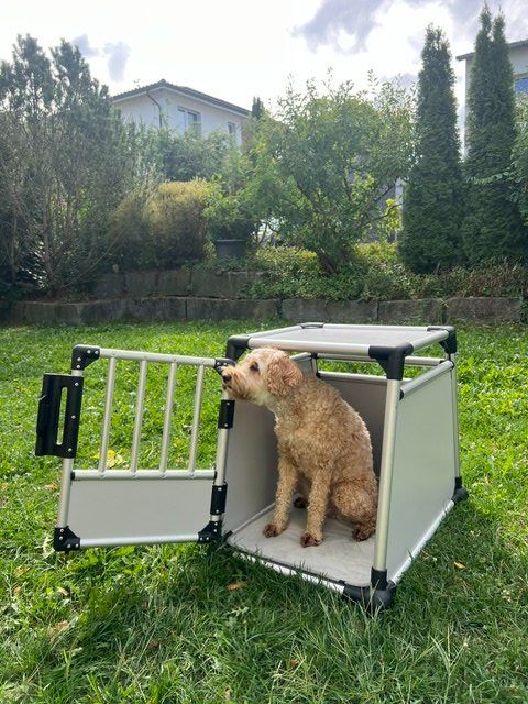 Cucce & Letti: TRIXIE Hunde-Transportbox M – Usato da Wiesendangen venduto da tulpje