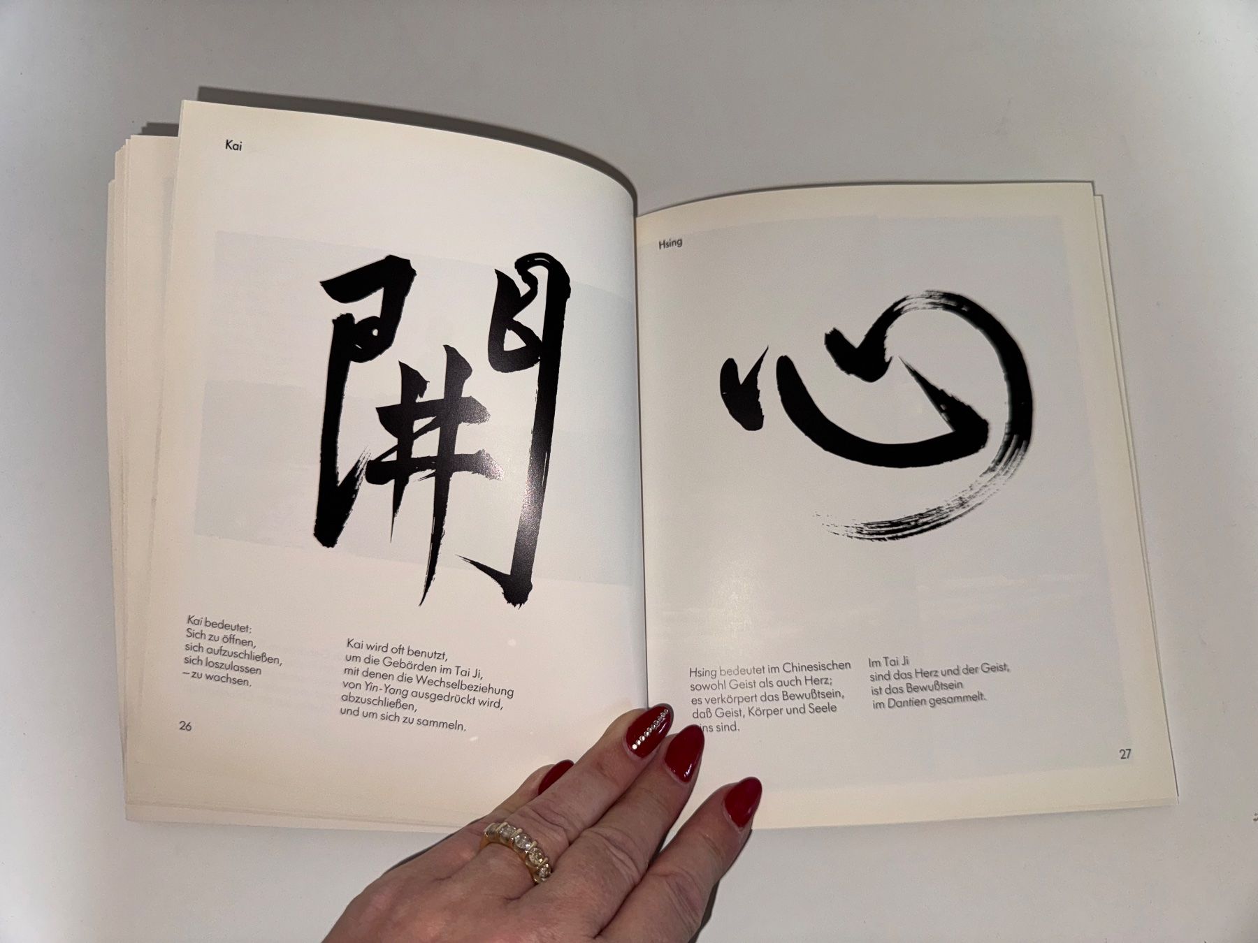 Libri: Buch: Tai Ji – Usato da Grosswangen venduto da Second_hand_paradise 3