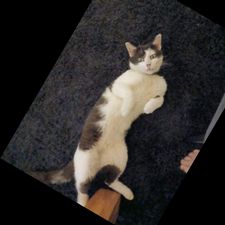 Profile image of fra_9vfk